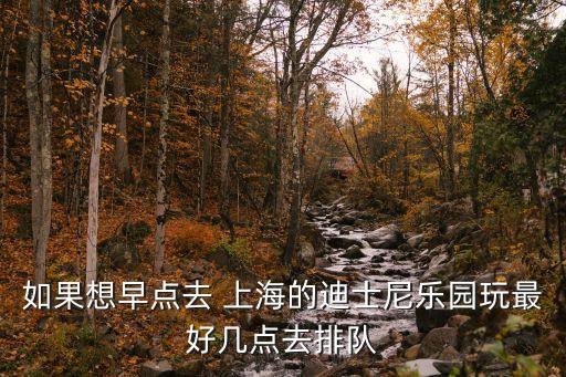 如果想早點去 上海的迪士尼樂園玩最好幾點去排隊