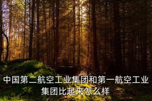 中國(guó)第二航空工業(yè)集團(tuán)和第一航空工業(yè)集團(tuán)比起來(lái)怎么樣