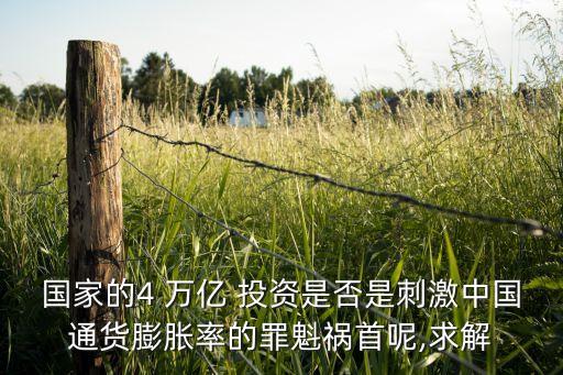 國(guó)家的4 萬(wàn)億 投資是否是刺激中國(guó)通貨膨脹率的罪魁禍?zhǔn)啄?求解