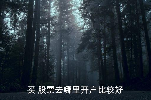 怎么網(wǎng)購股票,網(wǎng)購龍頭股票有哪些