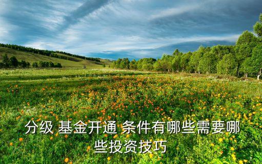  分級(jí) 基金開(kāi)通 條件有哪些需要哪些投資技巧