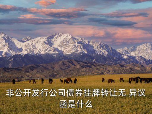 非公開(kāi)發(fā)行公司債券掛牌轉(zhuǎn)讓無(wú) 異議函是什么
