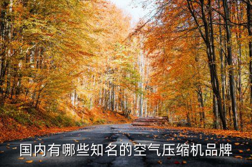國內(nèi)有哪些知名的空氣壓縮機品牌