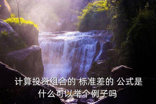 計(jì)算投資組合的 標(biāo)準(zhǔn)差的 公式是什么可以舉個例子嗎