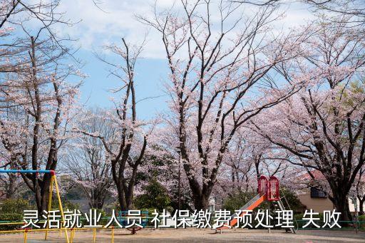 靈活就業(yè)人員 社保繳費預處理 失敗