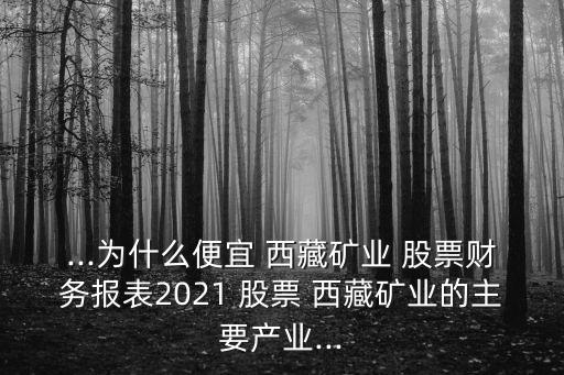...為什么便宜 西藏礦業(yè) 股票財(cái)務(wù)報(bào)表2021 股票 西藏礦業(yè)的主要產(chǎn)業(yè)...
