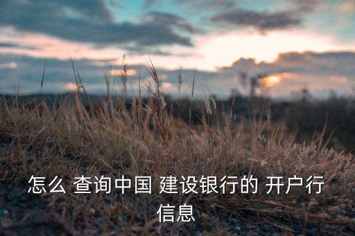 怎么 查詢中國 建設(shè)銀行的 開戶行信息