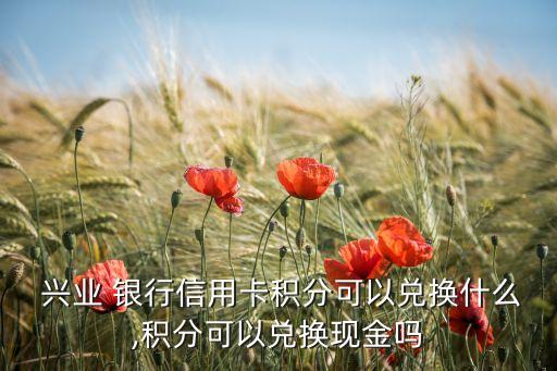  興業(yè) 銀行信用卡積分可以兌換什么,積分可以兌換現(xiàn)金嗎