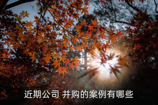 近期公司 并購(gòu)的案例有哪些