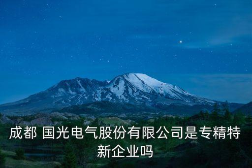 國光集團資產,哈爾濱國光集團