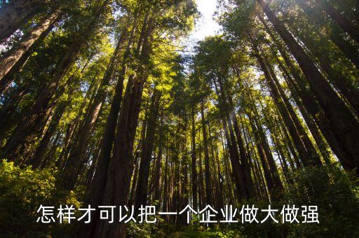 怎樣才可以把一個企業(yè)做大做強(qiáng)