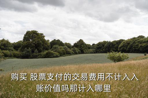  購買 股票支付的交易費(fèi)用不計(jì)入入賬價(jià)值嗎那計(jì)入哪里