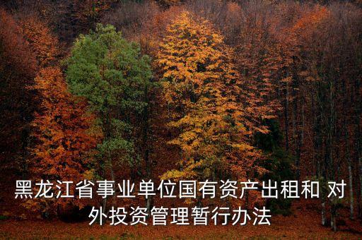 黑龍江省事業(yè)單位國有資產出租和 對外投資管理暫行辦法