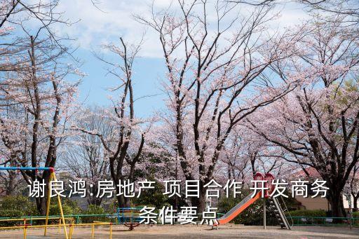 土地開發(fā)成立項(xiàng)目公司必要性