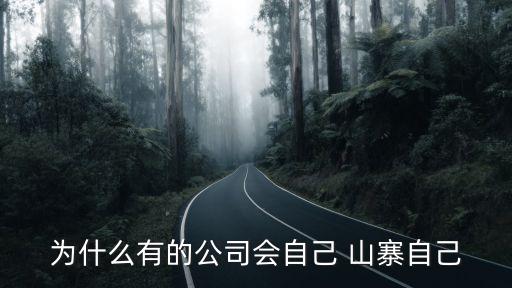 中國(guó)企業(yè)山寨,中國(guó)山寨為什么這么多