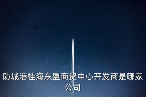 防城港桂海東盟商貿(mào)中心開(kāi)發(fā)商是哪家公司