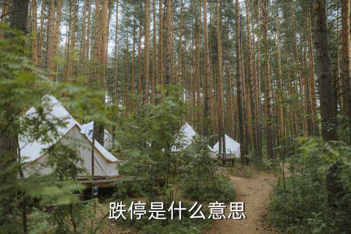  跌停是什么意思