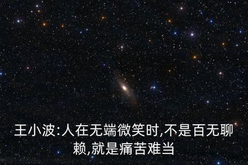 王小波:人在無端微笑時,不是百無聊賴,就是痛苦難當(dāng)