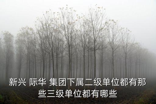 新興 際華 集團(tuán)下屬二級(jí)單位都有那些三級(jí)單位都有哪些