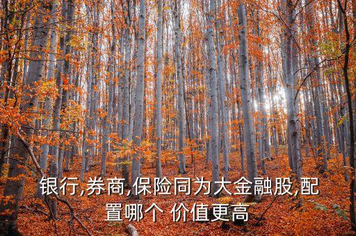  銀行,券商,保險(xiǎn)同為大金融股,配置哪個(gè) 價(jià)值更高