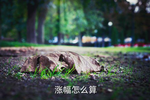 股票的漲幅,廣州亞運會股票的漲幅