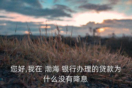 您好,我在 渤海 銀行辦理的貸款為什么沒有降息