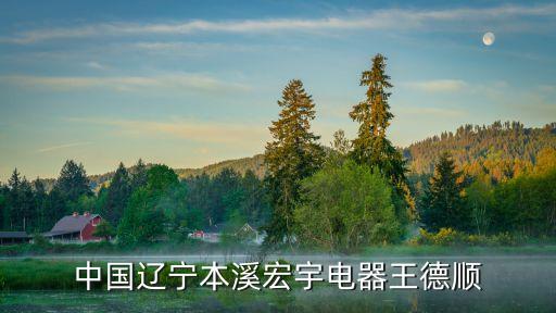 中國遼寧本溪宏宇電器王德順