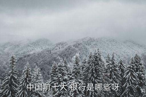 中國前十大 銀行是哪些呀