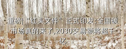 重磅|“紅頭文件”正式印發(fā):全國碳市場真的來了,2030交易額將超千億