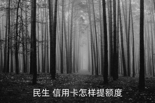 民生 信用卡怎樣提額度