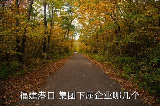 福建港口 集團(tuán)下屬企業(yè)哪幾個