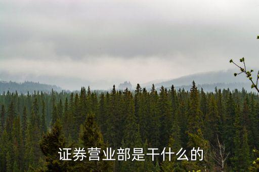  證券營(yíng)業(yè)部是干什么的