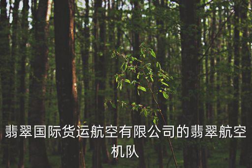 翡翠國際貨運(yùn)航空有限公司的翡翠航空機(jī)隊