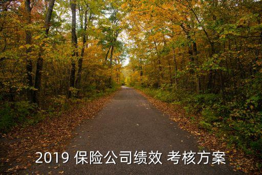 2019 保險公司績效 考核方案