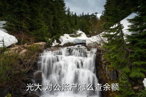 光大 對公賬戶怎么查余額