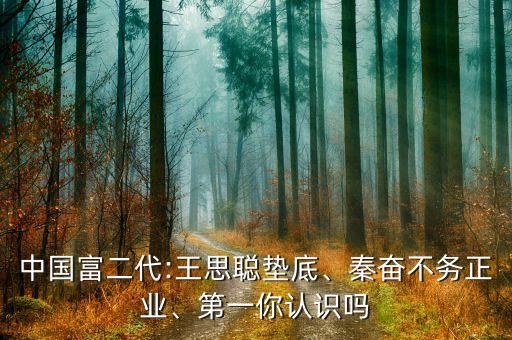 中國富二代:王思聰墊底、秦奮不務(wù)正業(yè)、第一你認(rèn)識嗎