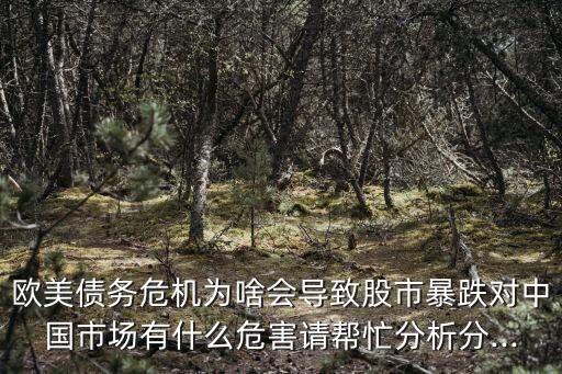 歐美債務(wù)危機(jī)為啥會(huì)導(dǎo)致股市暴跌對(duì)中國(guó)市場(chǎng)有什么危害請(qǐng)幫忙分析分...