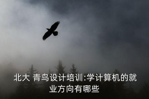  北大 青鳥設(shè)計培訓(xùn):學(xué)計算機(jī)的就業(yè)方向有哪些