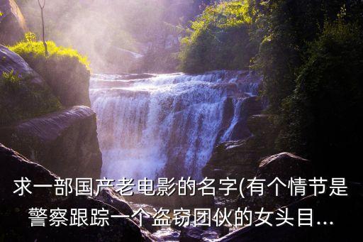 求一部國產(chǎn)老電影的名字(有個情節(jié)是警察跟蹤一個盜竊團伙的女頭目...