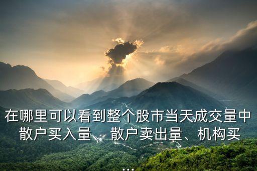 在哪里可以看到整個(gè)股市當(dāng)天成交量中 散戶買入量、 散戶賣出量、機(jī)構(gòu)買...
