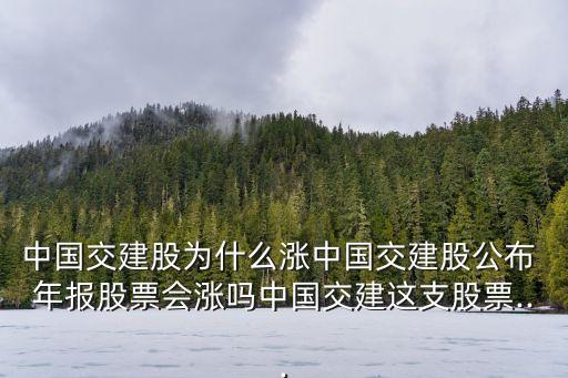 中國(guó)交建股為什么漲中國(guó)交建股公布 年報(bào)股票會(huì)漲嗎中國(guó)交建這支股票...