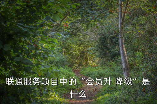 聯(lián)通服務項目中的“會員升 降級”是什么