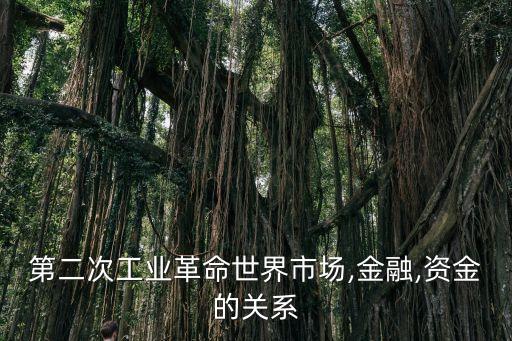 第二次工業(yè)革命世界市場,金融,資金的關系