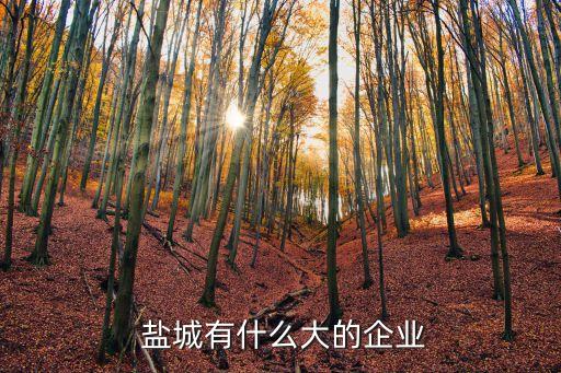 鹽城宏大集團(tuán)徐守清,鹽城徐守清兄弟幾個(gè)兒子