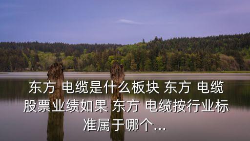 東方 電纜是什么板塊 東方 電纜 股票業(yè)績?nèi)绻?東方 電纜按行業(yè)標(biāo)準(zhǔn)屬于哪個(gè)...