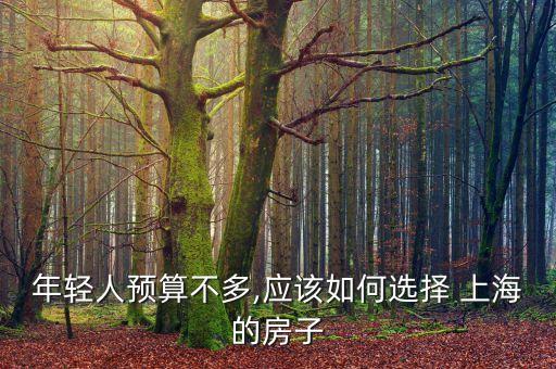 小白領(lǐng)白領(lǐng)在上?？赡苜I房嗎