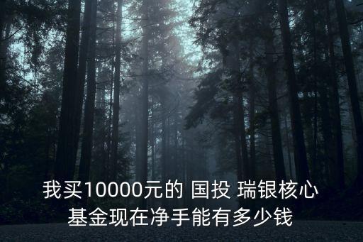 我買10000元的 國(guó)投 瑞銀核心基金現(xiàn)在凈手能有多少錢