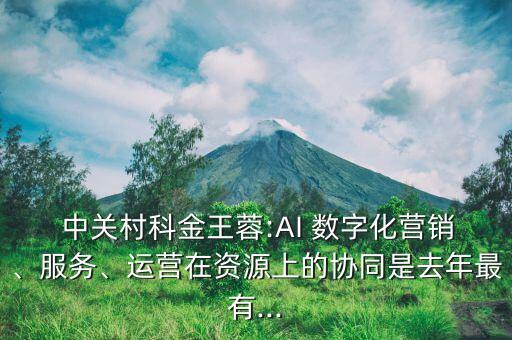  中關村科金王蓉:AI 數(shù)字化營銷、服務、運營在資源上的協(xié)同是去年最有...