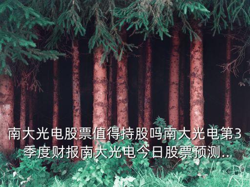 南大光電股票值得持股嗎南大光電第3 季度財(cái)報(bào)南大光電今日股票預(yù)測...