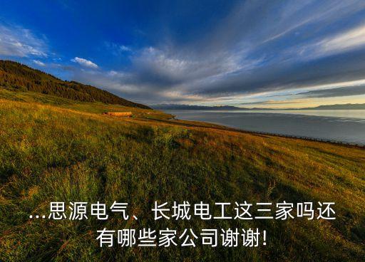 ...思源電氣、長城電工這三家嗎還有哪些家公司謝謝!